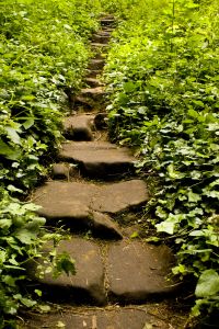 1063353_mysterious_stairs